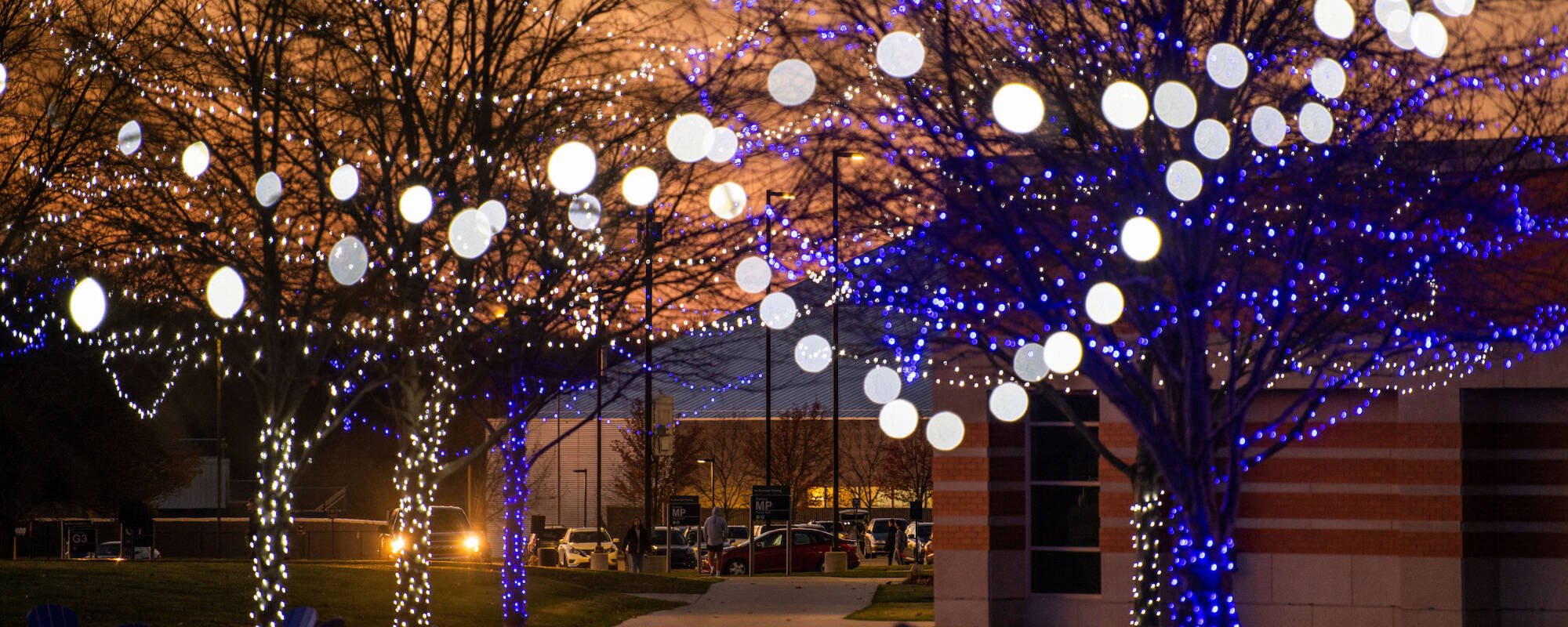 Strings of lights hang in tree branches in the late evening on the Valley Campus.